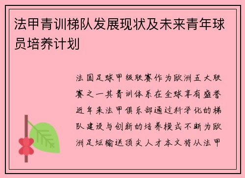 法甲青训梯队发展现状及未来青年球员培养计划