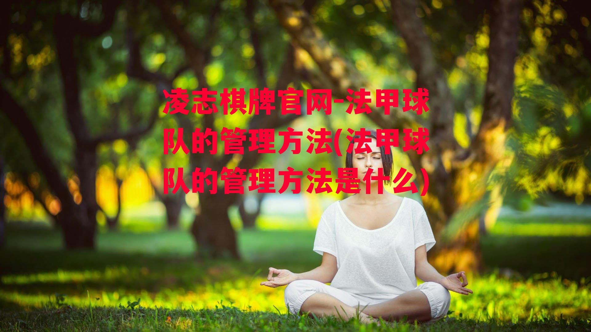 法甲球队的管理方法(法甲球队的管理方法是什么)